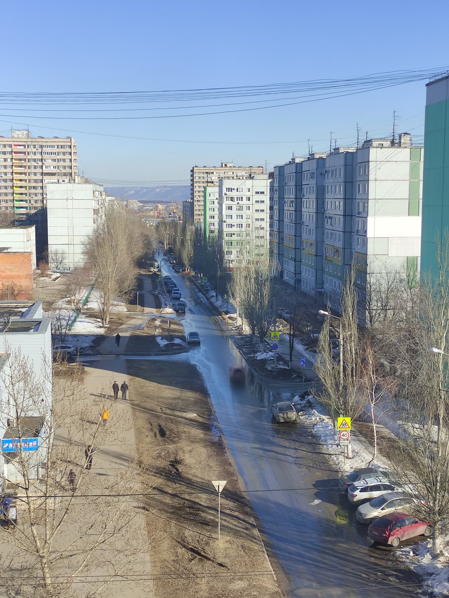 Бастрыкин взял на контроль дело о травмах четырёх тольяттинцев от упавшего дерева на улице Механизаторов