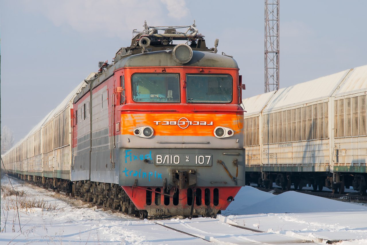 На «Обходе Тольятти» поставили 8,4 км сетки от лосей и косуль