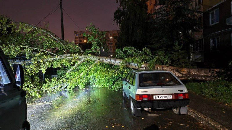 На Егорова, 28 в Самаре ночью рухнуло дерево: оборваны провода, повреждена машина
