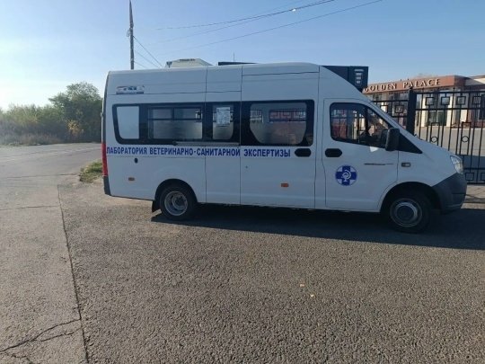 В Тольятти на Спортивной бесплатно прививают собак и кошек от бешенства