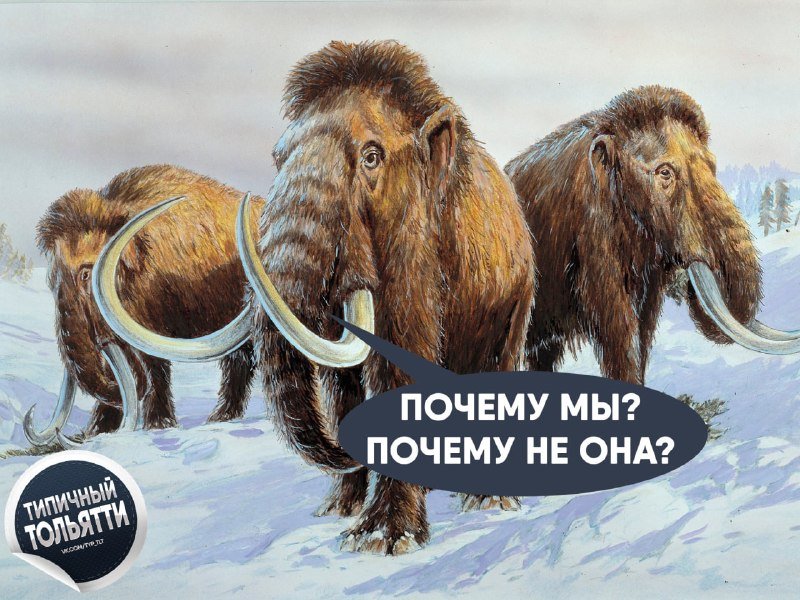 Школьница из Ставропольского района отдала курьеру 2,2 млн за «спасение от терроризма»