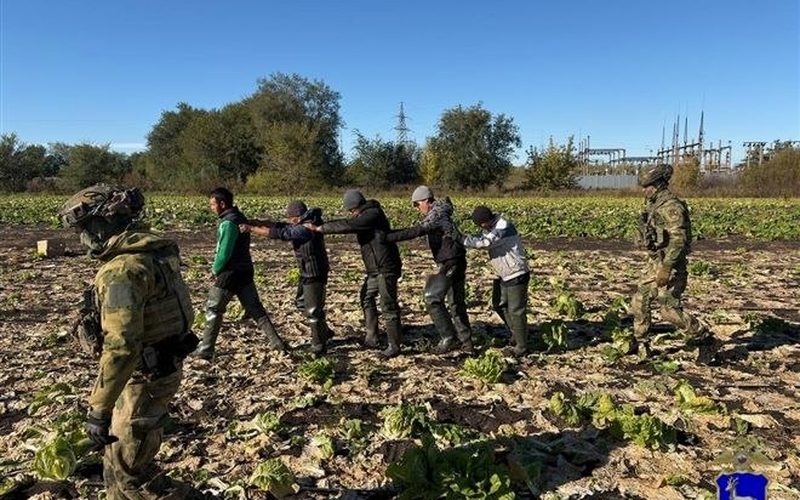 В теплицах Волжского района полиция задержала 12 нелегальных работников — Самарское информбюро