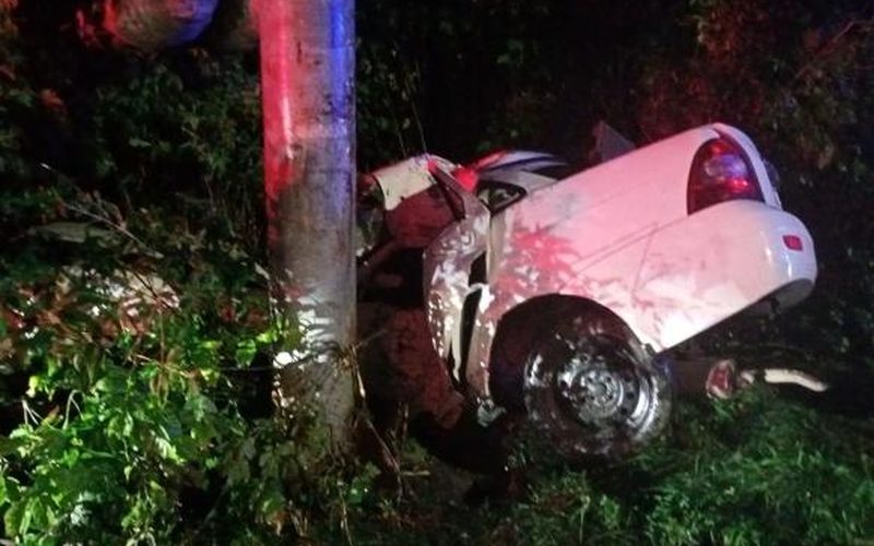 В Октябрьске LADA Priora вылетела в кювет и перевернулась: есть погибший — Самарское информбюро